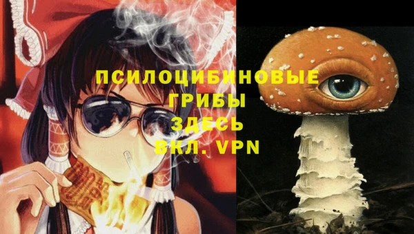 дживик Абаза
