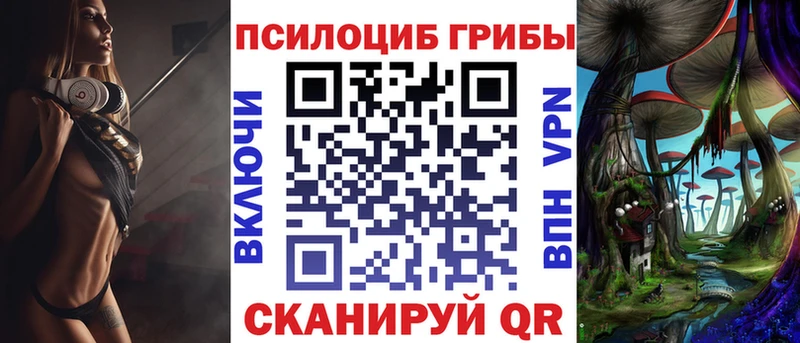 блэк спрут ONION  Суздаль  Галлюциногенные грибы GOLDEN TEACHER 