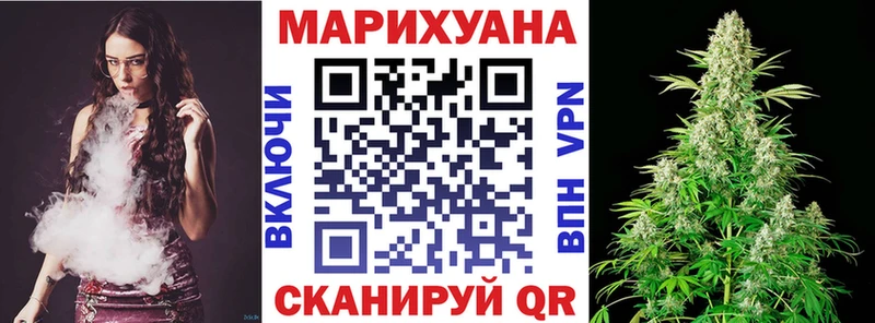 Каннабис OG Kush  Суздаль 